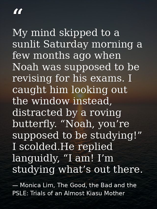 My mind skipped to a sunlit Saturday morning a few months ago when Noah was supposed to be revising for his exams. I cau — Monica Lim, The Good, the Bad and the PSLE: Trials of an Almost Kiasu Mother