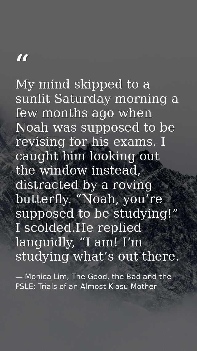 My mind skipped to a sunlit Saturday morning a few months ago when Noah was supposed to be revising for his exams. I cau — Monica Lim, The Good, the Bad and the PSLE: Trials of an Almost Kiasu Mother