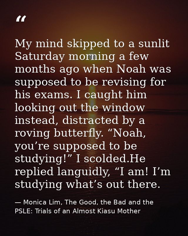 My mind skipped to a sunlit Saturday morning a few months ago when Noah was supposed to be revising for his exams. I cau — Monica Lim, The Good, the Bad and the PSLE: Trials of an Almost Kiasu Mother