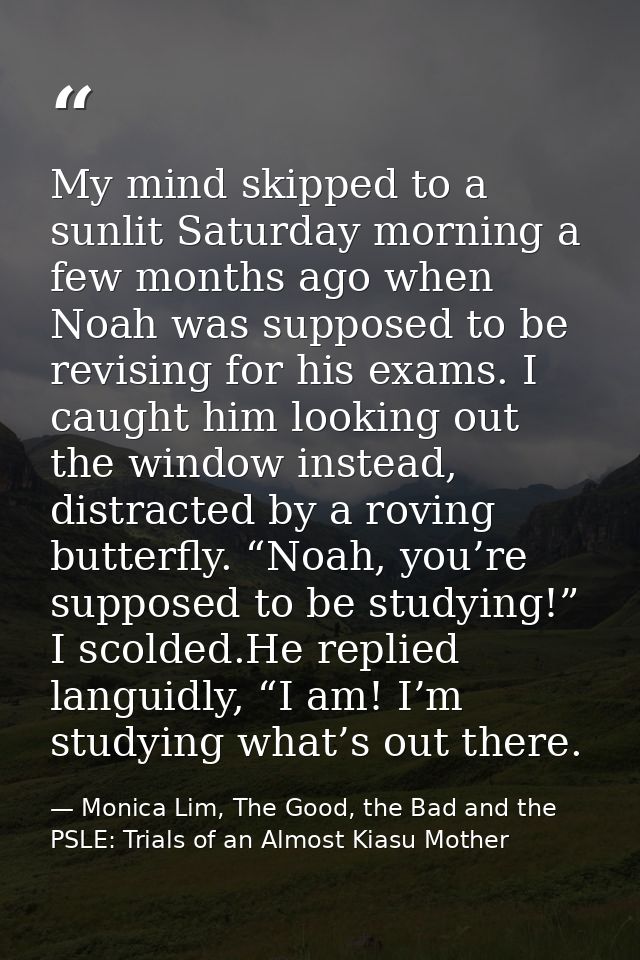 My mind skipped to a sunlit Saturday morning a few months ago when Noah was supposed to be revising for his exams. I cau — Monica Lim, The Good, the Bad and the PSLE: Trials of an Almost Kiasu Mother