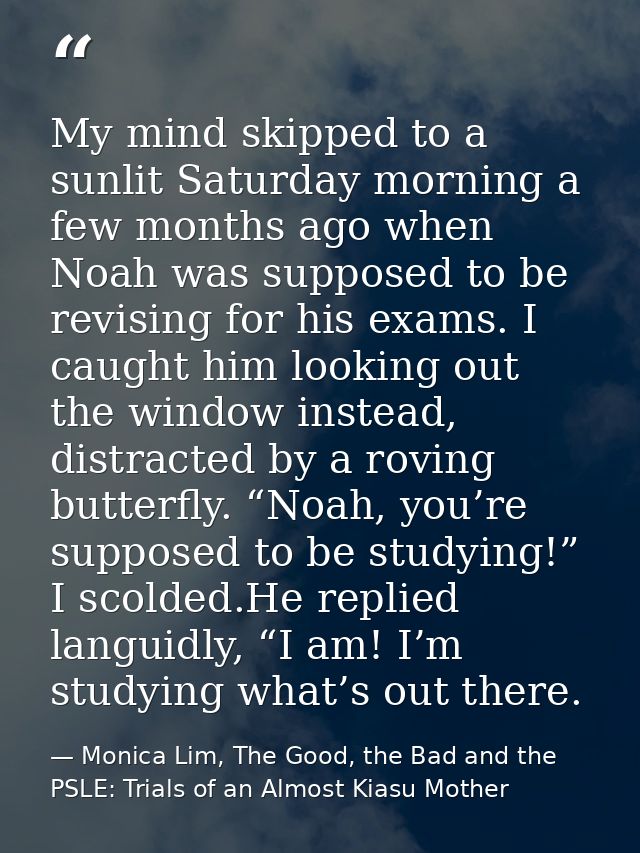 My mind skipped to a sunlit Saturday morning a few months ago when Noah was supposed to be revising for his exams. I cau — Monica Lim, The Good, the Bad and the PSLE: Trials of an Almost Kiasu Mother