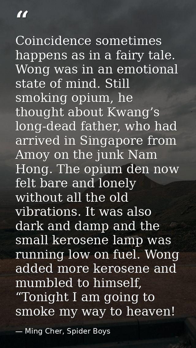 Coincidence sometimes happens as in a fairy tale. Wong was in an emotional state of mind. Still smoking opium, he though — Ming Cher, Spider Boys
