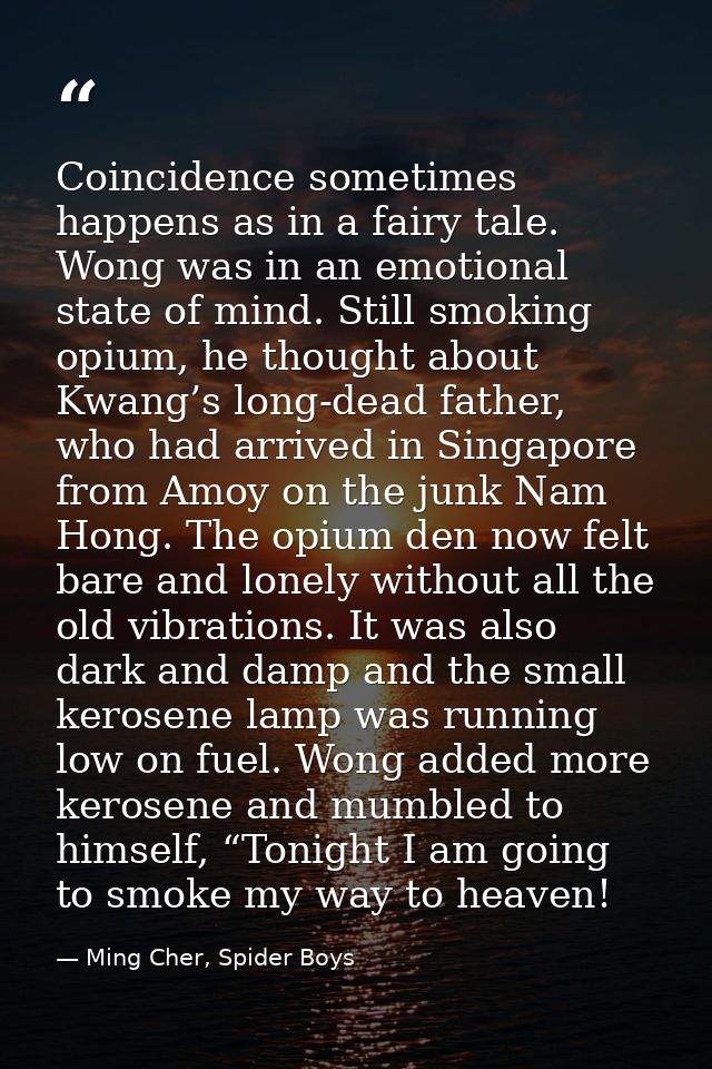 Coincidence sometimes happens as in a fairy tale. Wong was in an emotional state of mind. Still smoking opium, he though — Ming Cher, Spider Boys