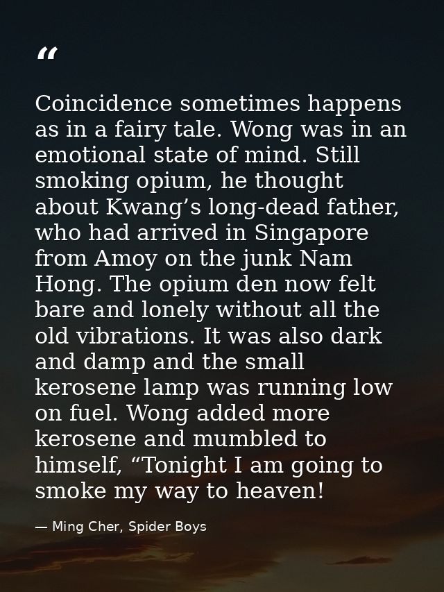 Coincidence sometimes happens as in a fairy tale. Wong was in an emotional state of mind. Still smoking opium, he though — Ming Cher, Spider Boys