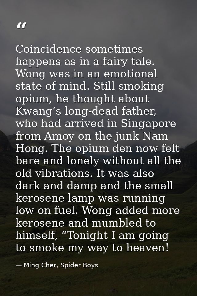Coincidence sometimes happens as in a fairy tale. Wong was in an emotional state of mind. Still smoking opium, he though — Ming Cher, Spider Boys