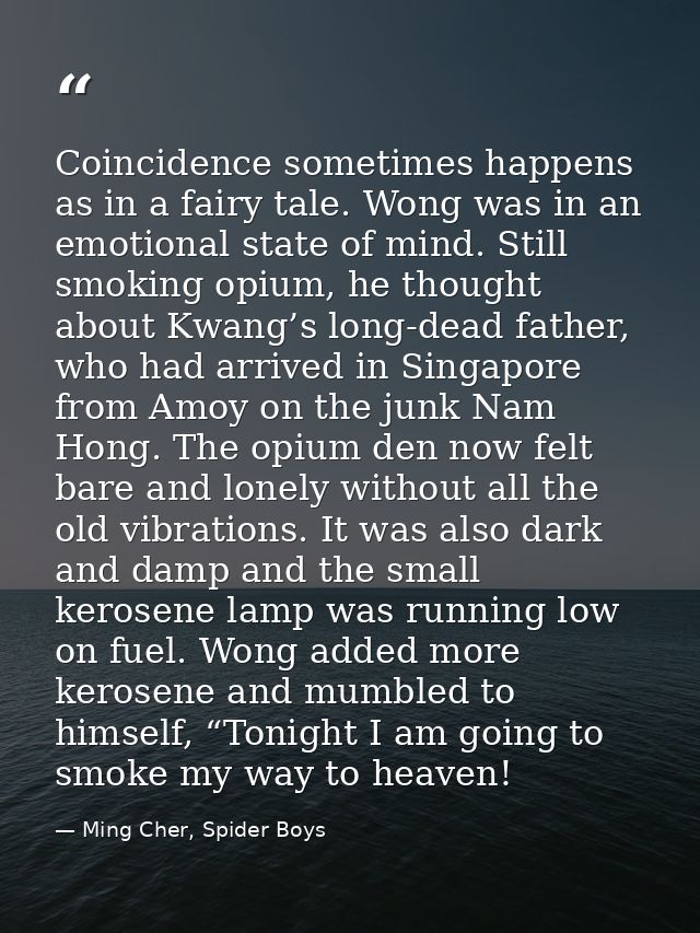 Coincidence sometimes happens as in a fairy tale. Wong was in an emotional state of mind. Still smoking opium, he though — Ming Cher, Spider Boys