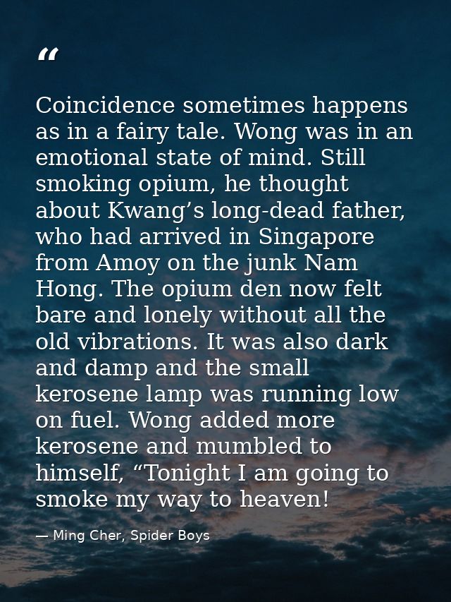 Coincidence sometimes happens as in a fairy tale. Wong was in an emotional state of mind. Still smoking opium, he though — Ming Cher, Spider Boys