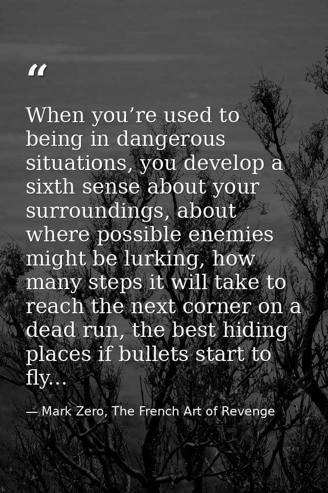 When you’re used to being in dangerous situations, you develop a sixth sense about your surroundings, about where possib — Mark Zero, The French Art of Revenge