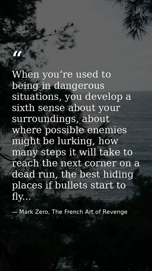 When you’re used to being in dangerous situations, you develop a sixth sense about your surroundings, about where possib — Mark Zero, The French Art of Revenge