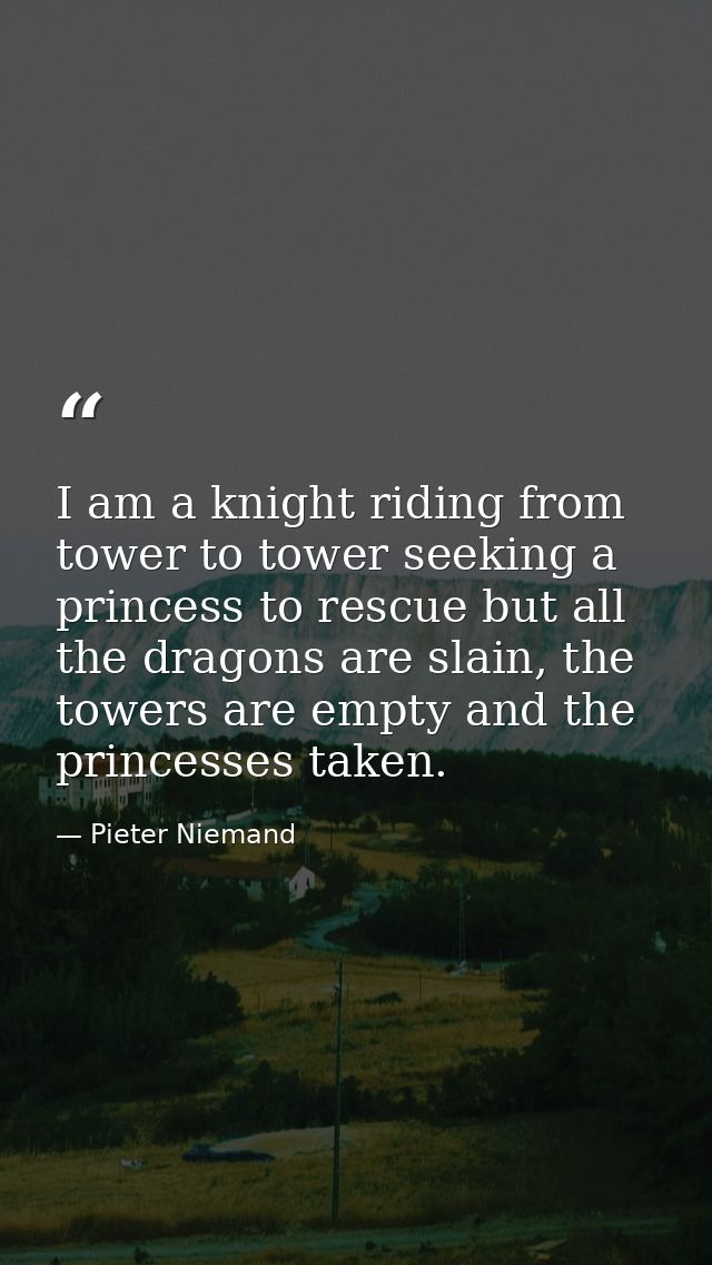 I am a knight riding from tower to tower seeking a princess to rescue but all the dragons are slain, the towers are empt — Pieter Niemand