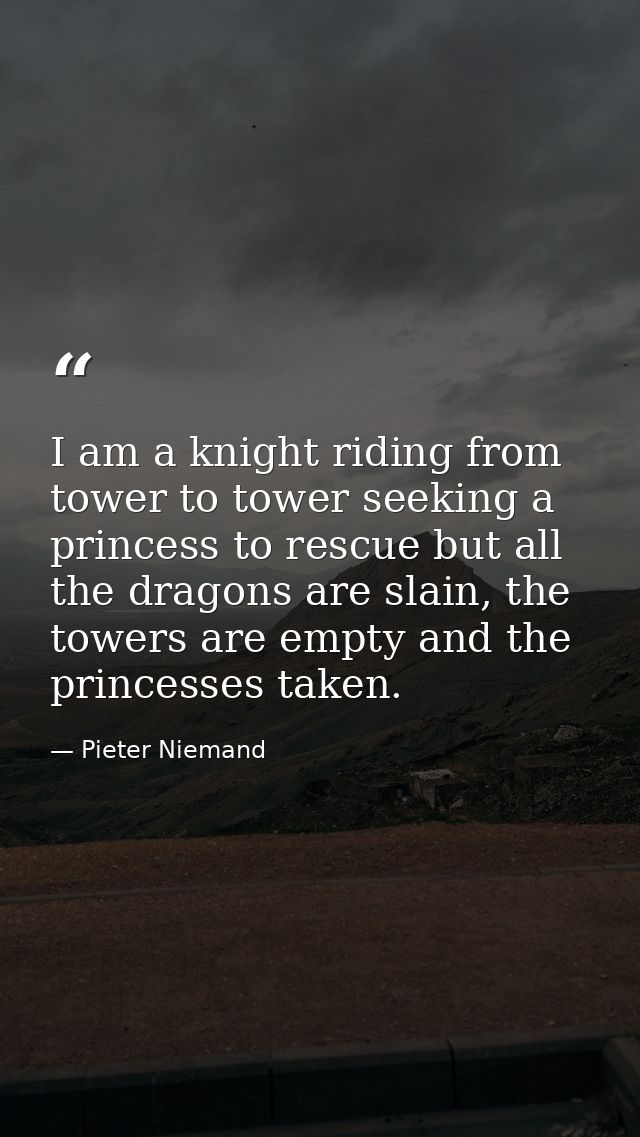 I am a knight riding from tower to tower seeking a princess to rescue but all the dragons are slain, the towers are empt — Pieter Niemand