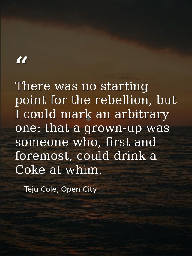 There was no starting point for the rebellion, but I could mark an arbitrary one: that a grown-up was someone who, first — Teju Cole, Open City