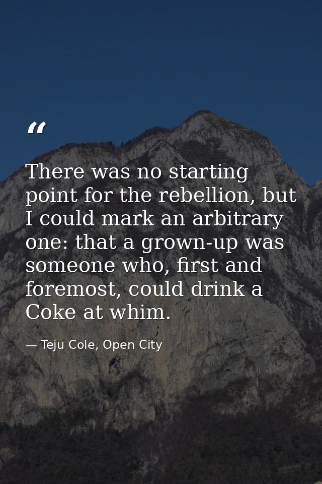 There was no starting point for the rebellion, but I could mark an arbitrary one: that a grown-up was someone who, first — Teju Cole, Open City