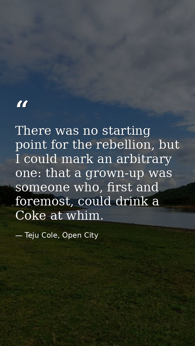There was no starting point for the rebellion, but I could mark an arbitrary one: that a grown-up was someone who, first — Teju Cole, Open City