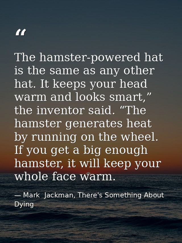 The hamster-powered hat is the same as any other hat. It keeps your head warm and looks smart,” the inventor said. “The  — Mark  Jackman, There's Something About Dying