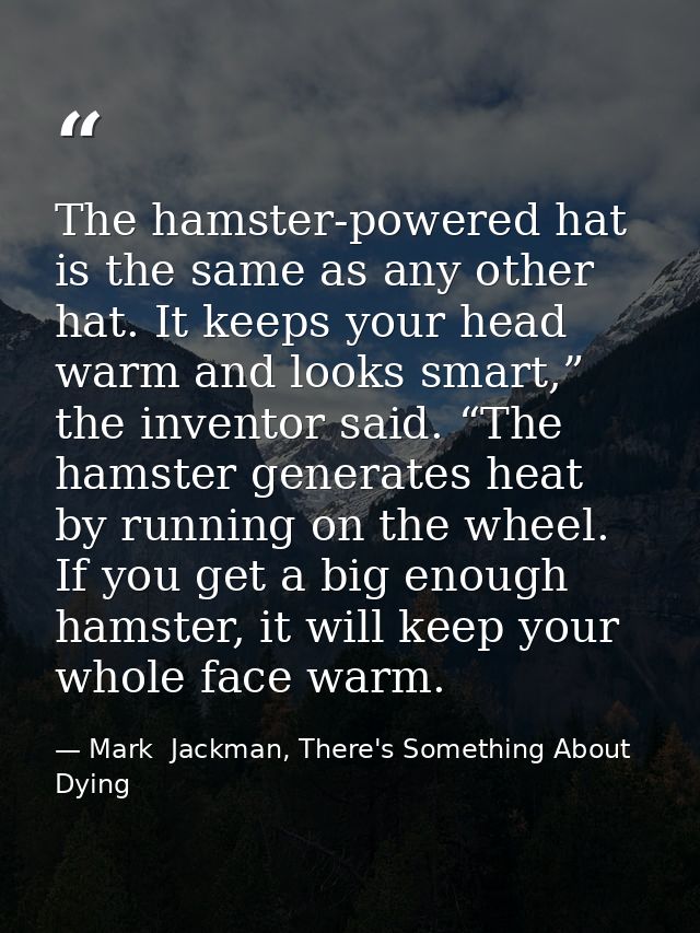 The hamster-powered hat is the same as any other hat. It keeps your head warm and looks smart,” the inventor said. “The  — Mark  Jackman, There's Something About Dying
