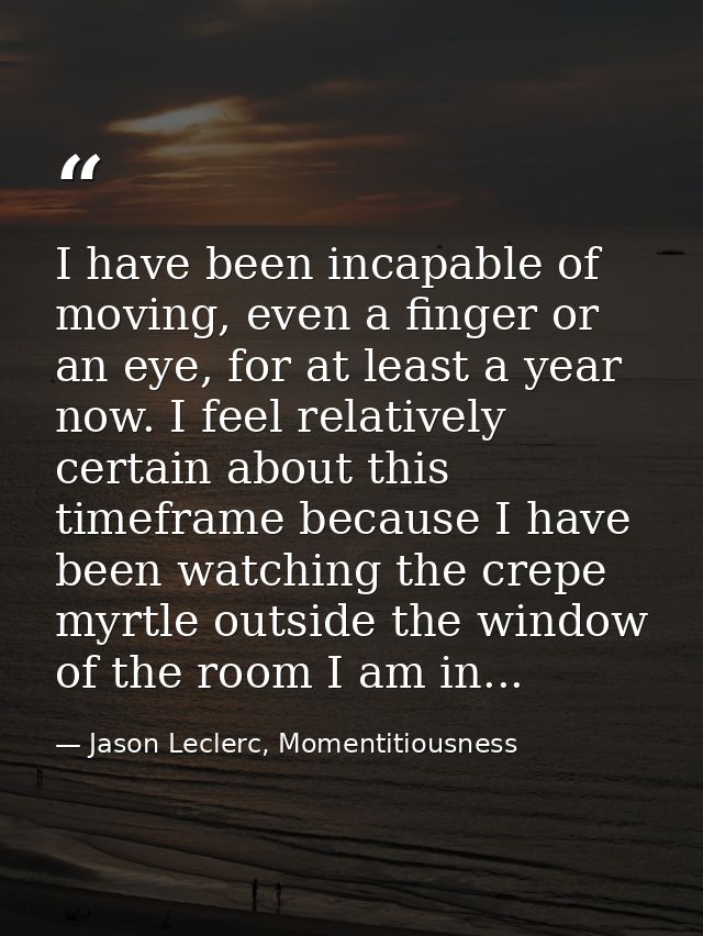 I have been incapable of moving, even a finger or an eye, for at least a year now. I feel relatively certain about this  — Jason Leclerc, Momentitiousness