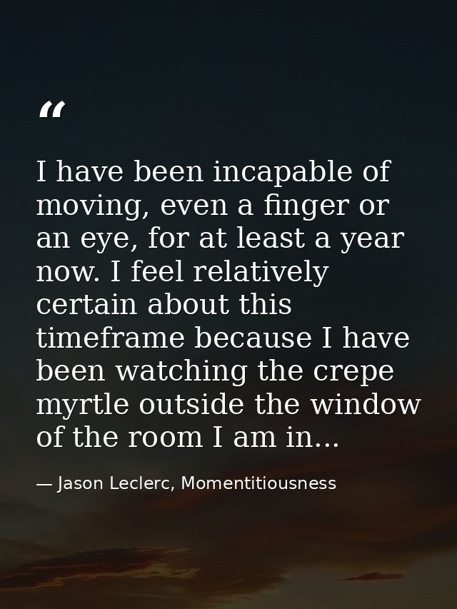 I have been incapable of moving, even a finger or an eye, for at least a year now. I feel relatively certain about this  — Jason Leclerc, Momentitiousness