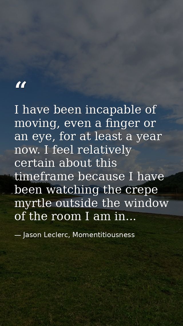 I have been incapable of moving, even a finger or an eye, for at least a year now. I feel relatively certain about this  — Jason Leclerc, Momentitiousness
