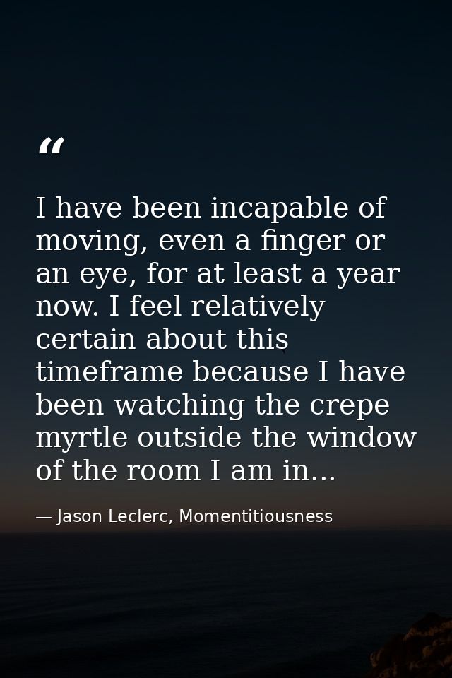 I have been incapable of moving, even a finger or an eye, for at least a year now. I feel relatively certain about this  — Jason Leclerc, Momentitiousness