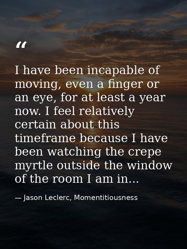 I have been incapable of moving, even a finger or an eye, for at least a year now. I feel relatively certain about this  — Jason Leclerc, Momentitiousness
