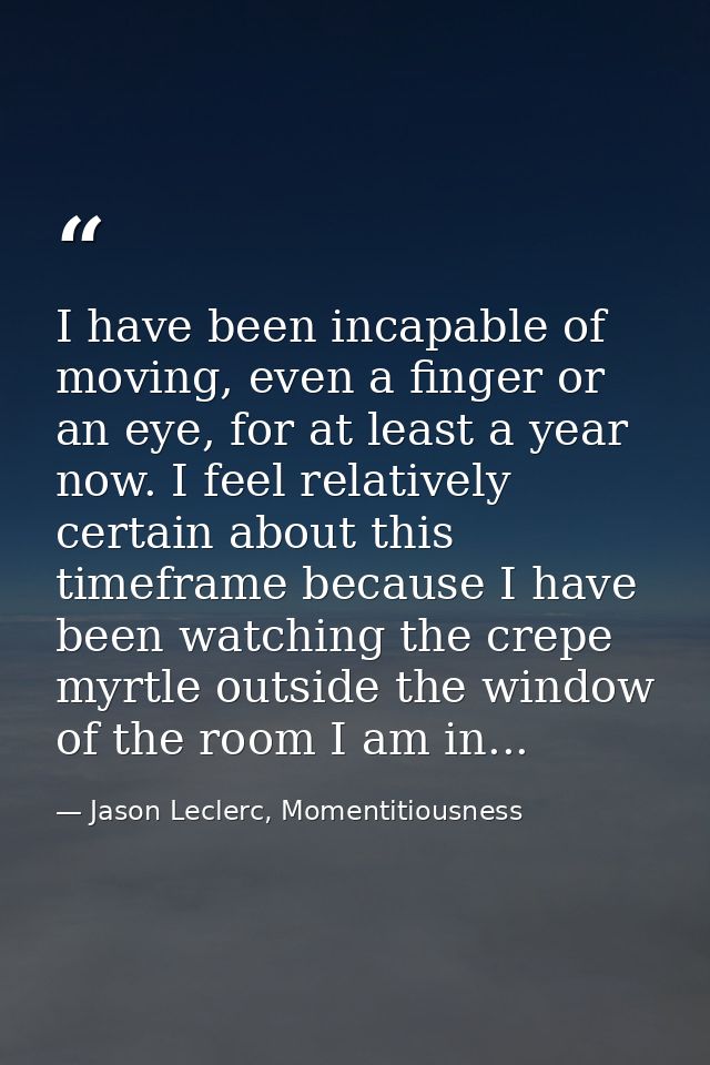 I have been incapable of moving, even a finger or an eye, for at least a year now. I feel relatively certain about this  — Jason Leclerc, Momentitiousness