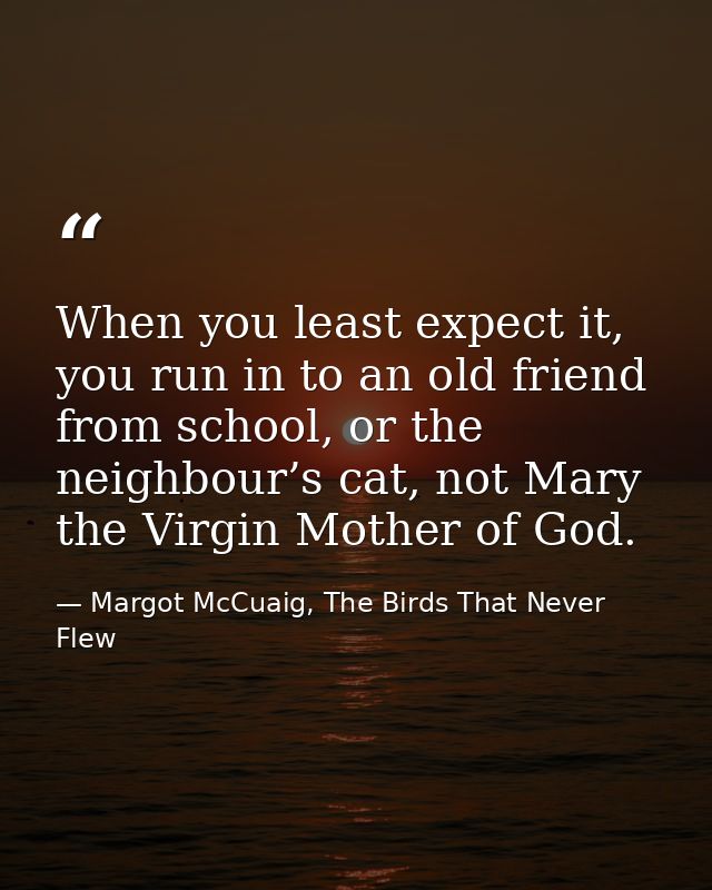 When you least expect it, you run in to an old friend from school, or the neighbour’s cat, not Mary the Virgin Mother of — Margot McCuaig, The Birds That Never Flew