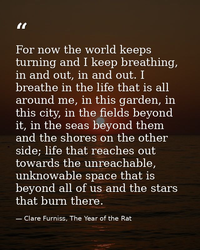For now the world keeps turning and I keep breathing, in and out, in and out. I breathe in the life that is all around m — Clare Furniss, The Year of the Rat