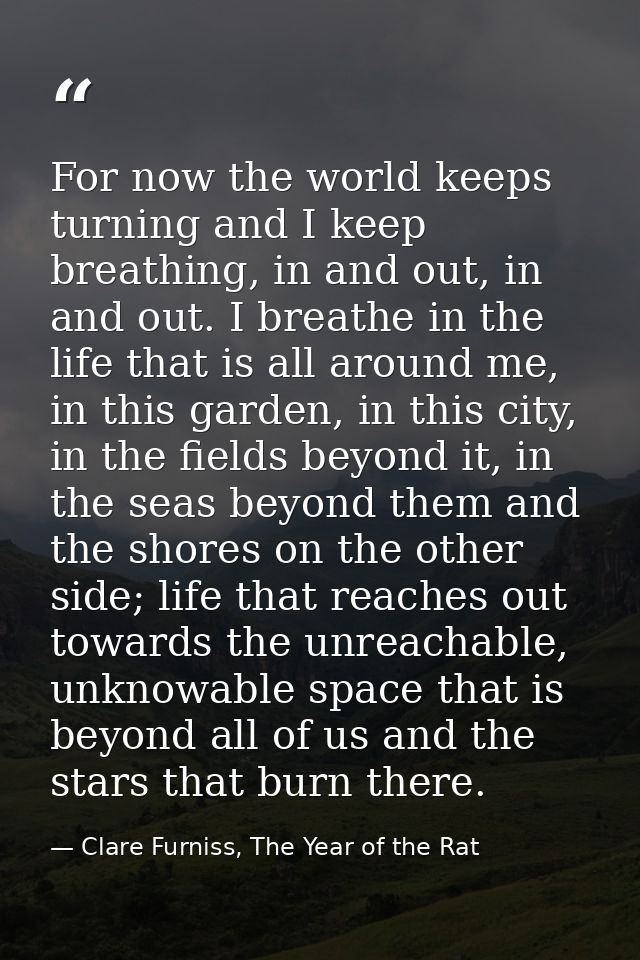 For now the world keeps turning and I keep breathing, in and out, in and out. I breathe in the life that is all around m — Clare Furniss, The Year of the Rat