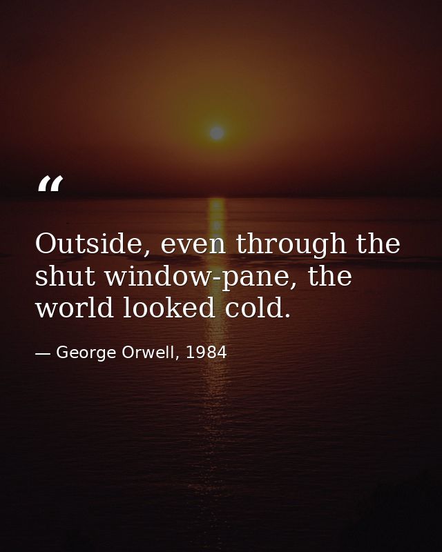 Outside, even through the shut window-pane, the world looked cold. — George Orwell, 1984