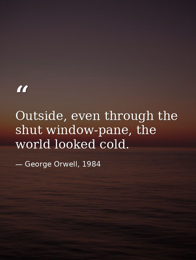 Outside, even through the shut window-pane, the world looked cold. — George Orwell, 1984