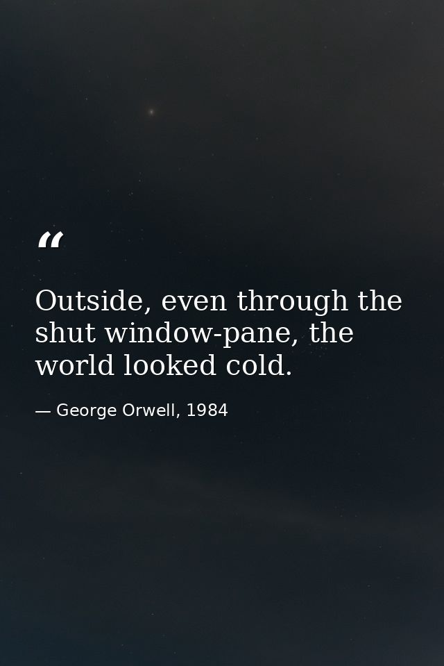 Outside, even through the shut window-pane, the world looked cold. — George Orwell, 1984