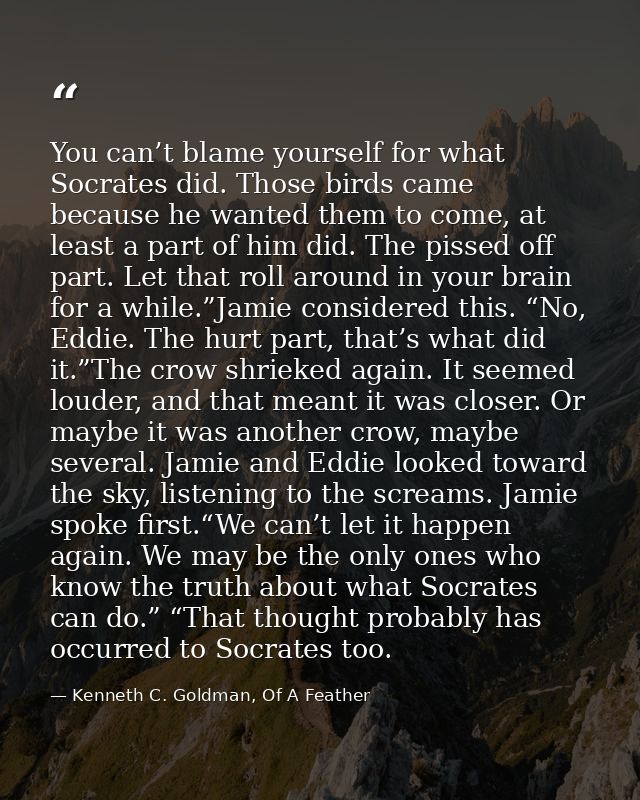 You can’t blame yourself for what Socrates did. Those birds came because he wanted them to come, at least a part of him  — Kenneth C. Goldman, Of A Feather