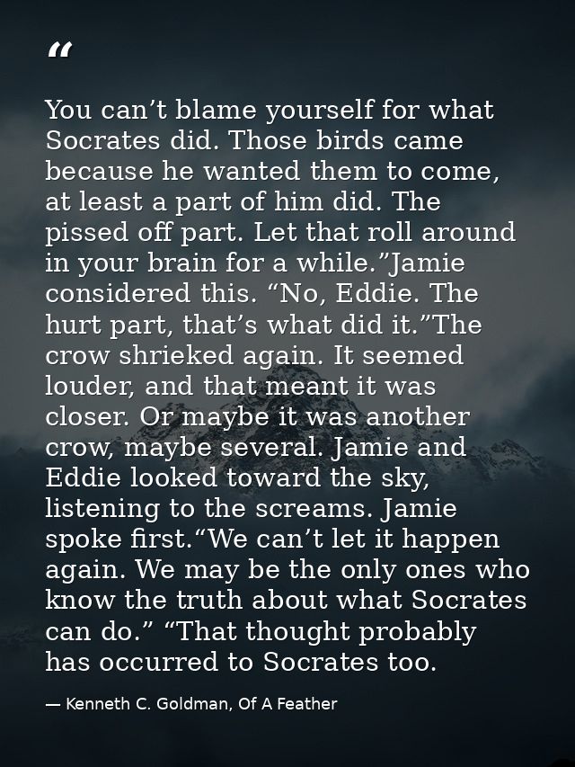 You can’t blame yourself for what Socrates did. Those birds came because he wanted them to come, at least a part of him  — Kenneth C. Goldman, Of A Feather