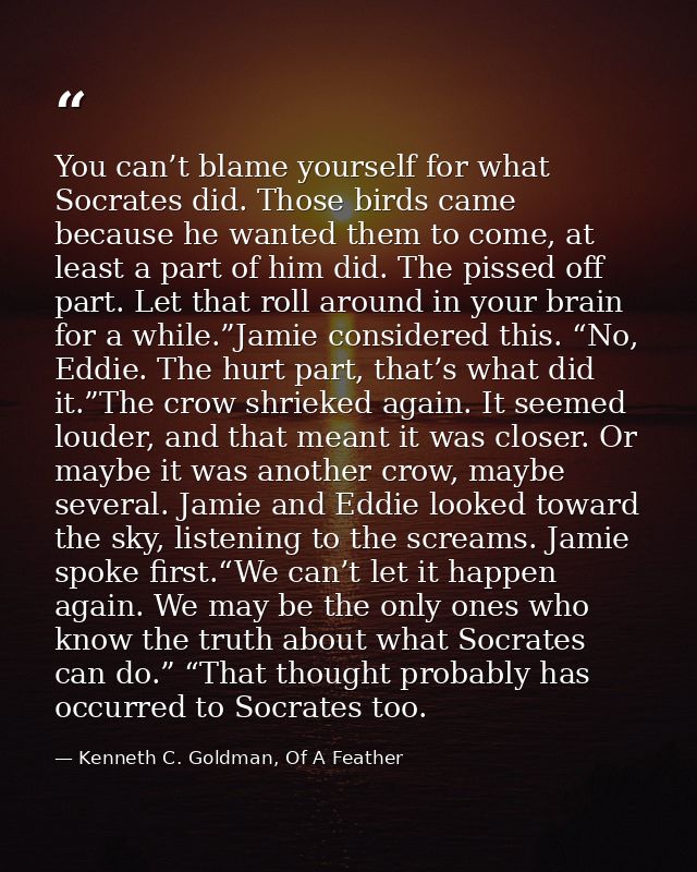 You can’t blame yourself for what Socrates did. Those birds came because he wanted them to come, at least a part of him  — Kenneth C. Goldman, Of A Feather
