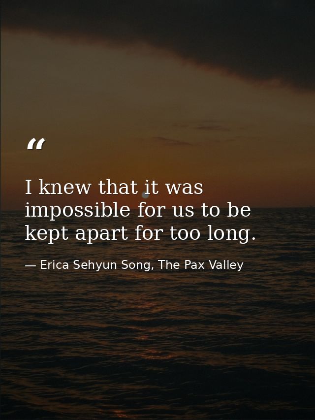 I knew that it was impossible for us to be kept apart for too long. — Erica Sehyun Song, The Pax Valley