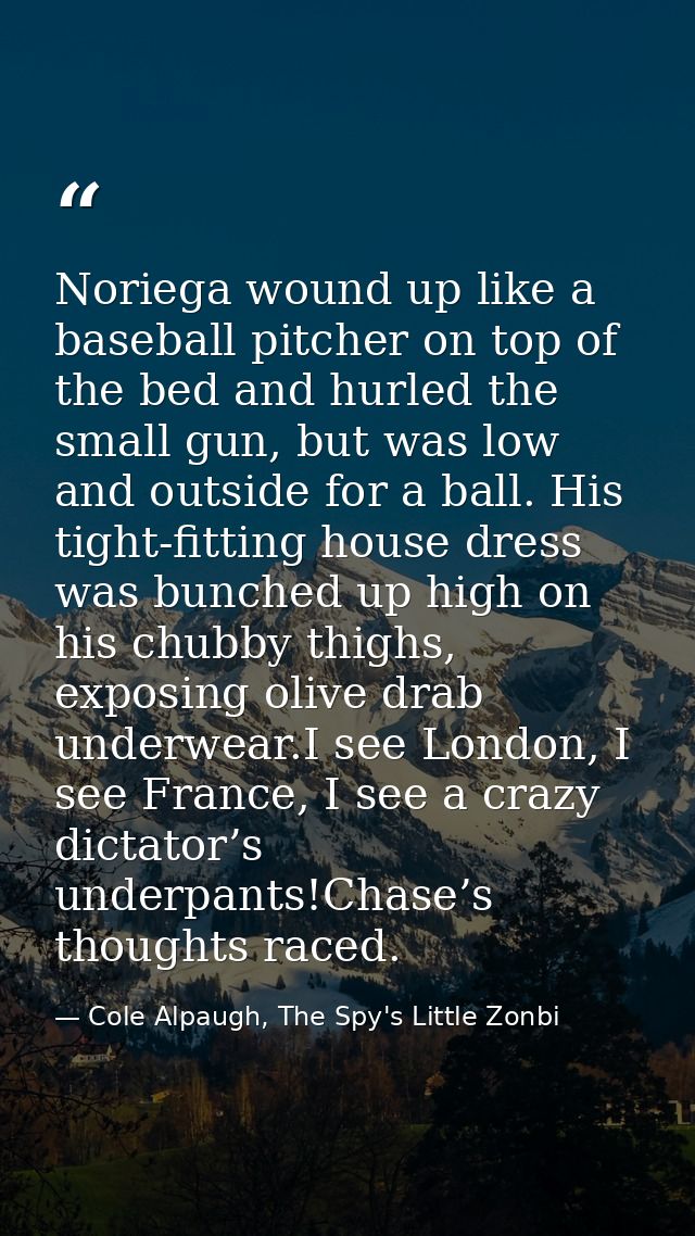Noriega wound up like a baseball pitcher on top of the bed and hurled the small gun, but was low and outside for a ball. — Cole Alpaugh, The Spy's Little Zonbi