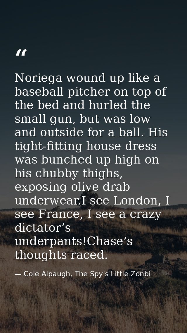 Noriega wound up like a baseball pitcher on top of the bed and hurled the small gun, but was low and outside for a ball. — Cole Alpaugh, The Spy's Little Zonbi