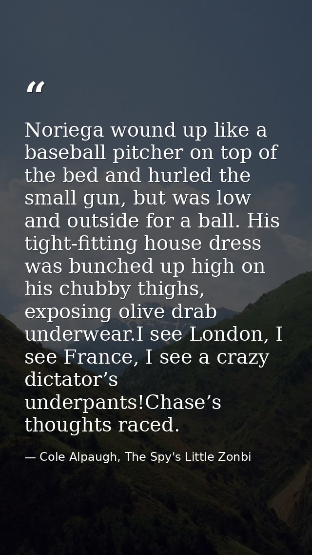 Noriega wound up like a baseball pitcher on top of the bed and hurled the small gun, but was low and outside for a ball. — Cole Alpaugh, The Spy's Little Zonbi