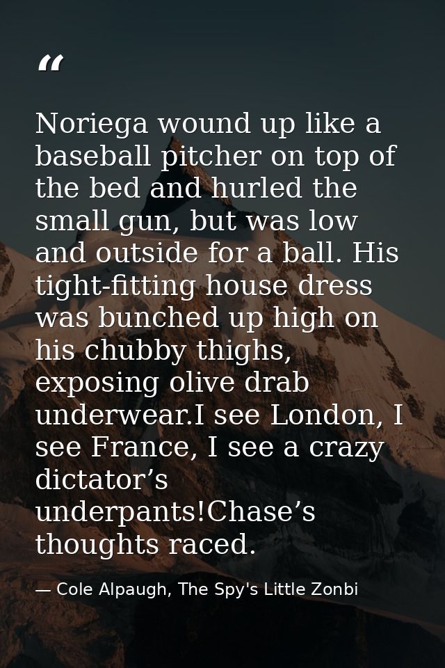 Noriega wound up like a baseball pitcher on top of the bed and hurled the small gun, but was low and outside for a ball. — Cole Alpaugh, The Spy's Little Zonbi