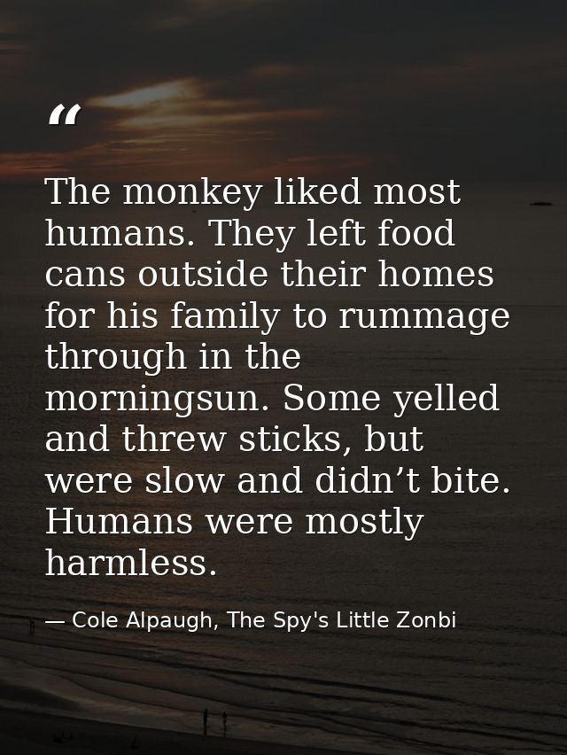 The monkey liked most humans. They left food cans outside their homes for his family to rummage through in the morningsu — Cole Alpaugh, The Spy's Little Zonbi