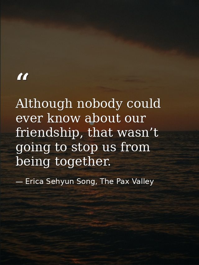 Although nobody could ever know about our friendship, that wasn’t going to stop us from being together. — Erica Sehyun Song, The Pax Valley