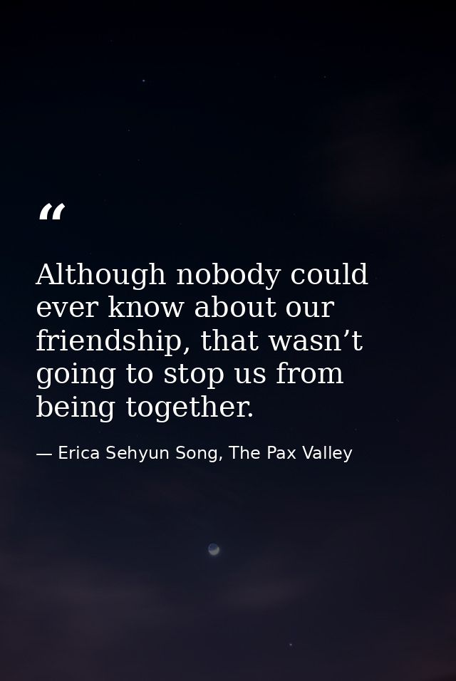 Although nobody could ever know about our friendship, that wasn’t going to stop us from being together. — Erica Sehyun Song, The Pax Valley