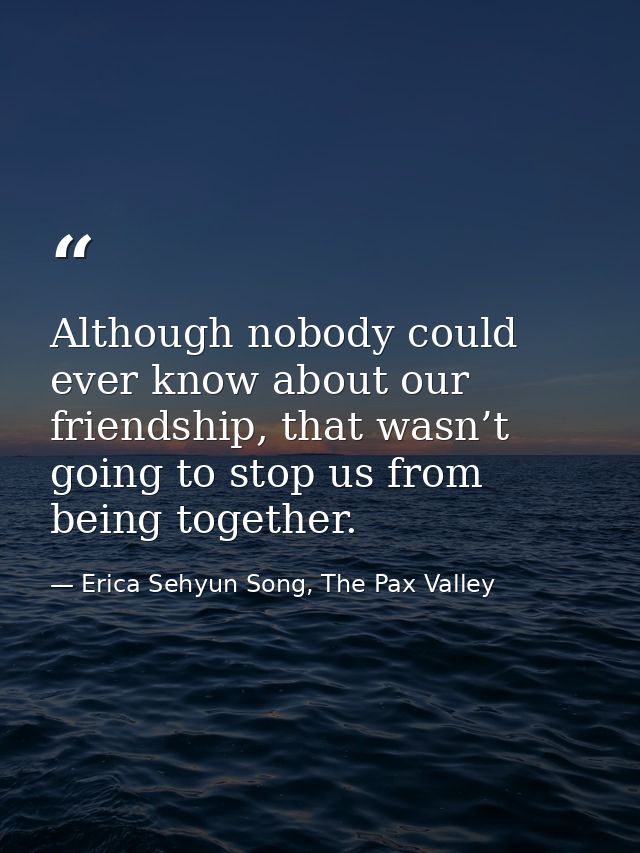 Although nobody could ever know about our friendship, that wasn’t going to stop us from being together. — Erica Sehyun Song, The Pax Valley
