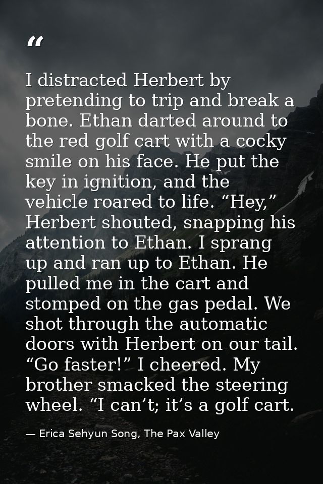 I distracted Herbert by pretending to trip and break a bone. Ethan darted around to the red golf cart with a cocky smile — Erica Sehyun Song, The Pax Valley