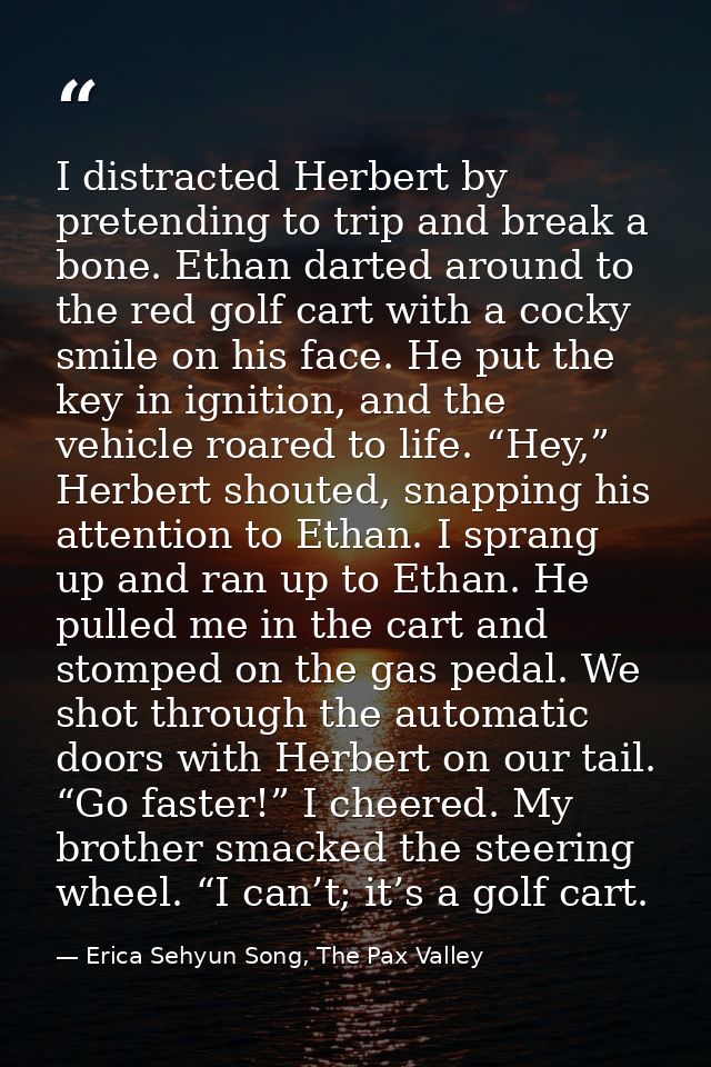 I distracted Herbert by pretending to trip and break a bone. Ethan darted around to the red golf cart with a cocky smile — Erica Sehyun Song, The Pax Valley