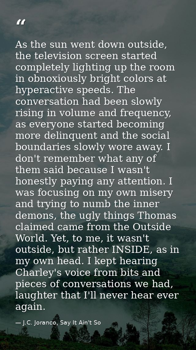 As the sun went down outside, the television screen started completely lighting up the room in obnoxiously bright colors — J.C. Joranco, Say It Ain't So