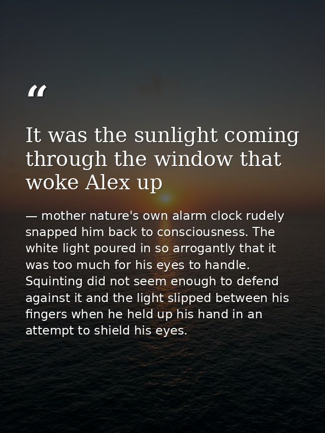 It was the sunlight coming through the window that woke Alex up — mother nature's own alarm clock rudely snapped him back to consciousness. The white light poured in so arrogantly that it was too much for his eyes to handle. Squinting did not seem enough to defend against it and the light slipped between his fingers when he held up his hand in an attempt to shield his eyes.