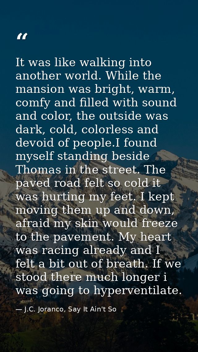 It was like walking into another world. While the mansion was bright, warm, comfy and filled with sound and color, the o — J.C. Joranco, Say It Ain't So