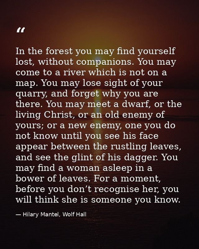 In the forest you may find yourself lost, without companions. You may come to a river which is not on a map. You may los — Hilary Mantel, Wolf Hall